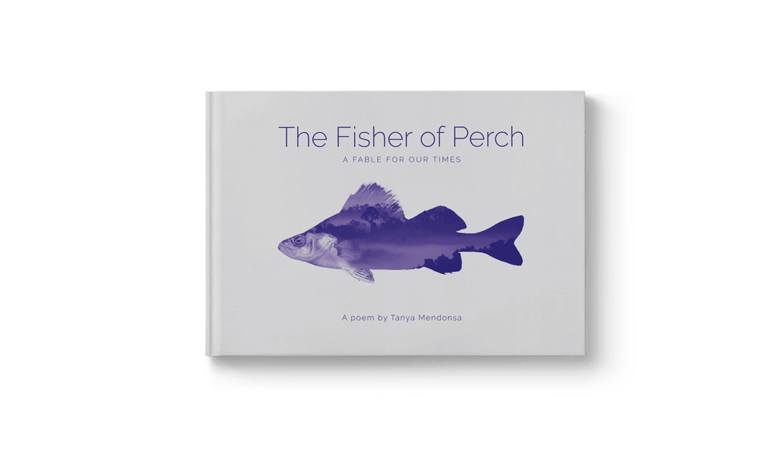 Front cover of The Fisher Of Perch, designed by Design Foundry